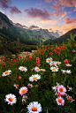 ~~Daisy Sunset ~ Glacier Peak Wilderness, Cascade Mountains, Washington by Danny Seidman~~ 