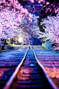 樱花线蹴上倾斜（琵琶湖运河）晚上，日本京都
