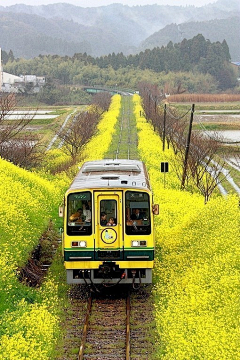 buleskybule采集到风景