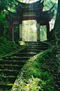 Temple entry ~ Japan.: 