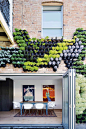 vertical-garden-wall-oct15