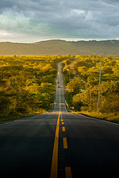 芈籴采集到景与路