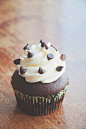 Chocolate Cupcake with Hazelnut Buttercream by TantalizedBaker
