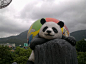 熊猫-mm图集-图喔喔(mytuoo.com)