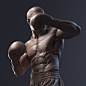 Boxer Sculpt, Sandeep VS : Sculpted in Zbrush and rendered using Arnold renderer