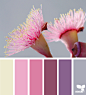 Design Seeds : Design Seeds color palettes ... posted daily for all who love color.