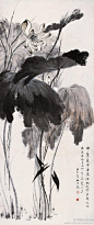 #花卉画#【 张大千 《荷花图》 】张大千爱荷，一生画荷无数，他以“君子之风，其清穆如”喻荷，盛赞其高洁。每当花开时节，大千都要四处赏花、写生，在居住的庭园内，通常要开辟池塘遍植荷花，即便在环境稍局促的摩耶精舍，仍用大缸养满荷花。大千观察细致入微，他笔下的荷花形态各异，让人赏心悦目。