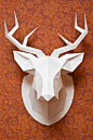 My dear deer on Behance