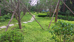 Landscape婷婷采集到风景园林——道路铺装广场