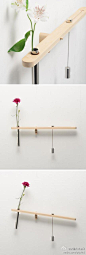 求是设计会网Water Balance Vase水量平衡花瓶，来自设计师Risako Matsumoto（松本理纱子）的设计，木头支架上一头嵌着花瓶，另外一头则是可以移动的配重滑块，整个结构通过挂钩固定在墙上，当花瓶中的水减少，支架就会开始倾斜，倾斜得厉害则提醒你该加水了。