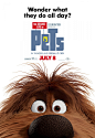 Extra Large Movie Poster Image for The Secret Life of Pets (#14 of 18)