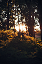 silhouette of person sitting on ground under trees