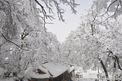 Yy680采集到银装素裹峨眉山   晴空