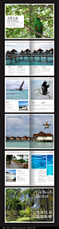 马尔代夫旅游画册版面设计CDR素材下载_企业画册|宣传画册设计图片