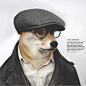宠物界最有型的柴犬Menswear Dog最新一季穿搭大片。纽约的平面设计师David Fung和时装设计师Yena Kim在一个慵懒的周六下午给他们可爱的狗狗穿上了经典男装，然后将照片放在FACEBOOK上。