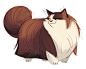 432: Norwegian Forest Cat