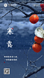 寒露节气祝福实景排版手机海报