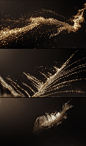 3D CG CGI feather honor motion graphics  particles phone vfx (2)