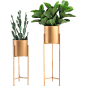 盆栽png 北欧植物 铁艺花架 透明素材植物 居家装饰绿植 免抠素材