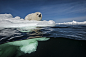 摄影师David Doubilet 历时整整两年拍摄加拿大圣劳伦斯湾的生态环境，与格陵兰海豹亲密接触。这组精美绝伦的图片可以让我们一瞥这个神奇物种的真实面貌。

　　David Doubilet为2014年5月的美国《国家地理》杂志拍摄图片，题为“富饶的海湾”。为了拍摄真实精美的图片，他在玛格达伦岛附近冰层下待了十天。他的努力没有白费，这些绝美的图片就是证明。海豹妈妈生下小海豹后只会哺育12到15天之后便将小海豹遗弃，为的是让小海豹自力更生学会捕食、游泳，成为真正的格陵兰海豹。