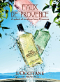 L'OCCITANE - Advertisements : Advertisements for various L'OCCITANE campaigns