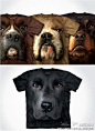 [不寻常的T恤] 不寻常的T恤，以独特的设计，那么”大脸动物”的T恤收集从”The Mountain”，可能只是你在找什么。你可以选择从各种各样的动物，狗脸的图案，拉布拉多犬，罗威纳…我们最喜欢的义和团脸部。