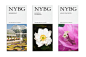 New York Botanical Garden纽约植物园品牌识别设计