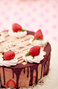 草莓+巧克力 蛋糕