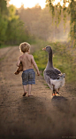 Just a boy and his goose.