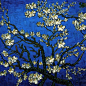 Yellow & Blue | Van Gogh ​​​​