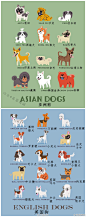 世界上的狗狗按国家和地区分类，看看你喜欢的狗来自哪儿via英国报姐