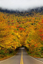 Smuggler's Notch State Park, Vermont.  How I long to go to the East Coast in the fall...