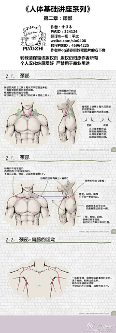 い☆紫叶大大采集到皮肤教程