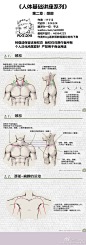 《人体基础讲座系列》共六章-头部、颈部、躯干、手臂与手、腿部与脚、全身。我分成六个长条一章一条。该系列详解了在画人体每个部位的时很容易遗漏与画错的小细节，记住这些小细节能帮助你画的更加精准更加栩栩如生。【转载请说明出处】教程原网址：http://t.cn/R7FtXcQ