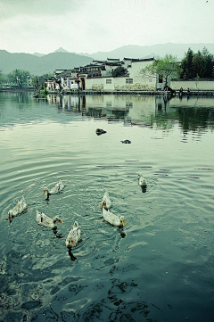 叶踏小雨采集到人在旅途，旅途中国，美在江南