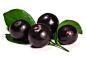 Acai berries can be a tremendously healthy addition to your diet, and helps to increase heart health, aids in weight loss, as well as aiding in health issues relating to your skin, digestion, allergies, immune system, and energy levels. Furthermore, resea