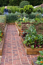 Vegetable garden: