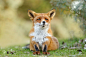 "Listen Up..." by Roeselien Raimond on 500px