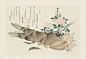 1788年浮世绘大师Kitagawa Utamaro绘制的《昆虫书》，惟妙惟肖，耐人寻味。