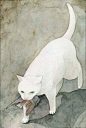 #设计视角# 来自日本插画师Midori Yamada笔下的猫。 ​​​​