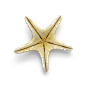 超高清 海星 海螺 贝壳 珊瑚 海马等 航洋生物主题 png元素 starfish-14