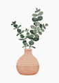 Plantas de invierno on Behance