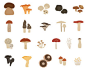 蘑菇矢量插画素材