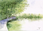 乡野。日本女画家坂田 融作品。她以最简单的画笔和线条将日本乡村山川与河流，森林与田野描绘得淋漓尽致。