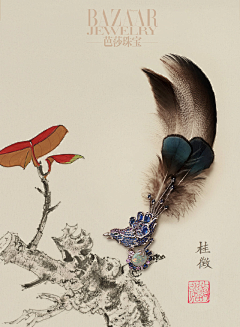 quqingqing采集到花