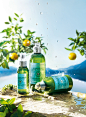 L’Occitane : L'Occitane  Perfum Worldwide Advertising campaign 2014