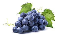 Lilac0826采集到H-红酒，葡萄，葡萄园，采摘