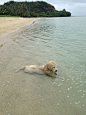 “She sat in the water for like an hour, just staring at the water peacefully."