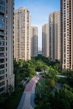 zwang采集到住宅｜园路