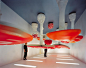 Carsten Holler